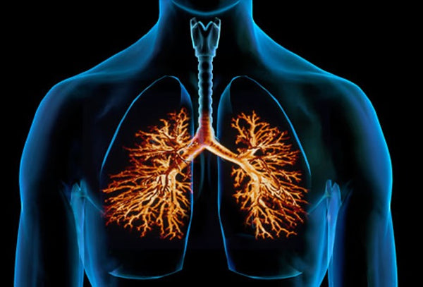 Lung Inflammations and other Respiratory Conditions