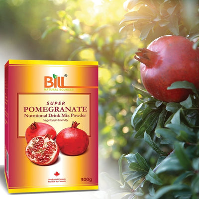 BILL Natural Sources® Pomegranate Drink Mix Powder 300g
